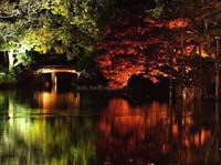 �g�n�q�h�����u�Z�`���̍g�t�v